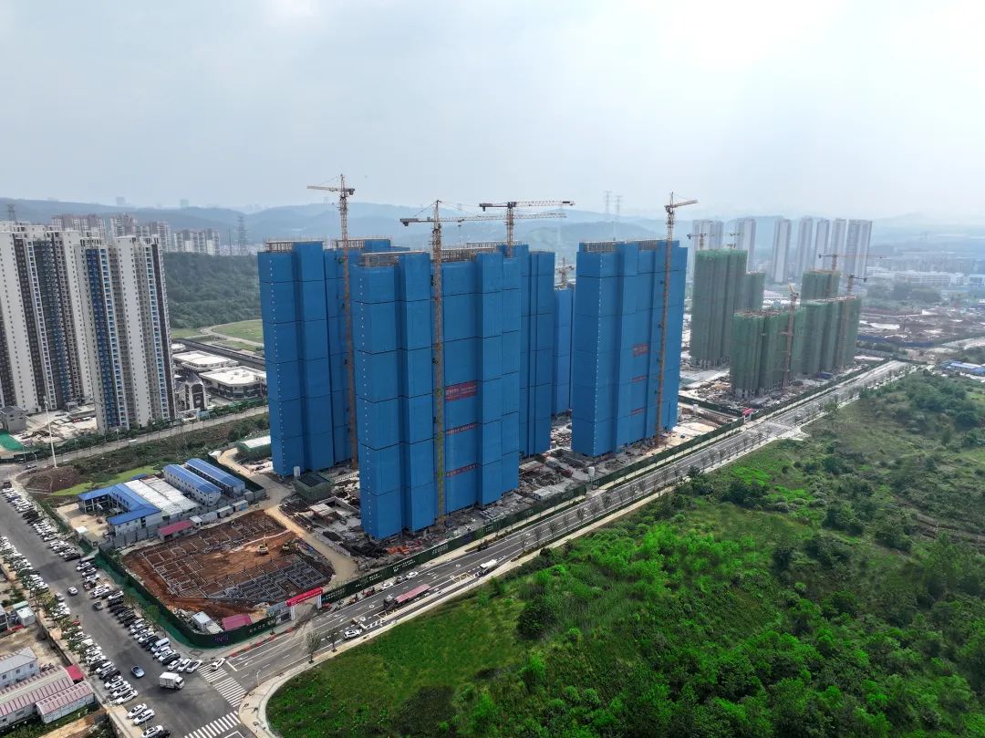 汪继明带队调研新城集团建设管理、大宗物资集采工作