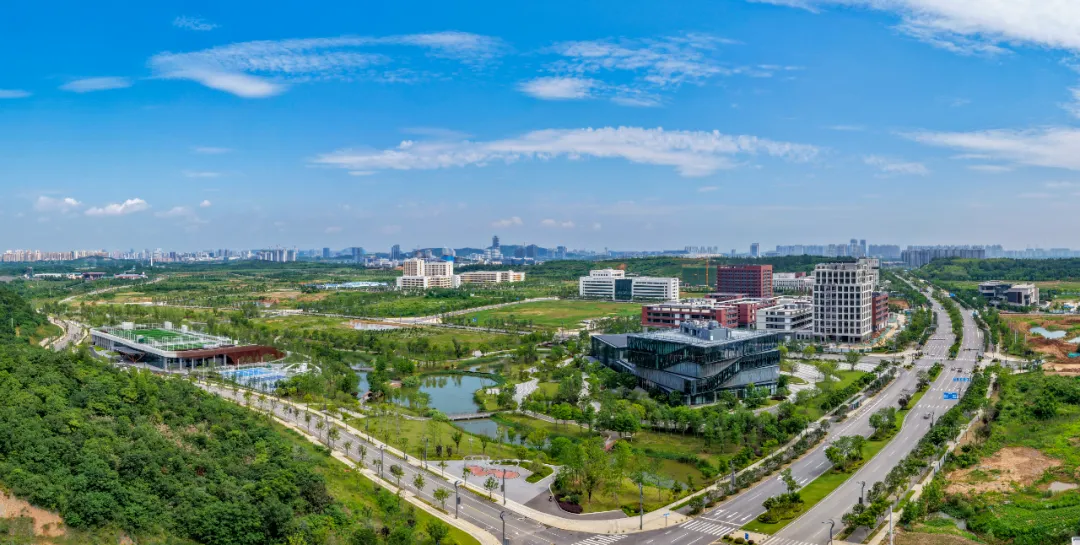 汪继明带队调研新城集团建设管理、大宗物资集采工作