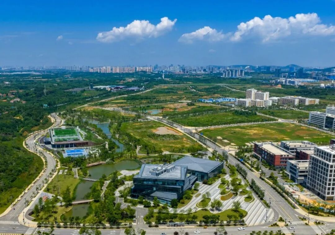 汪继明带队调研新城集团建设管理、大宗物资集采工作